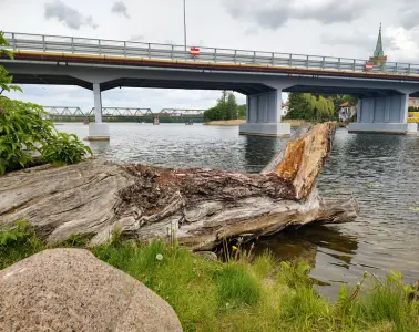 The fish by the road bridge